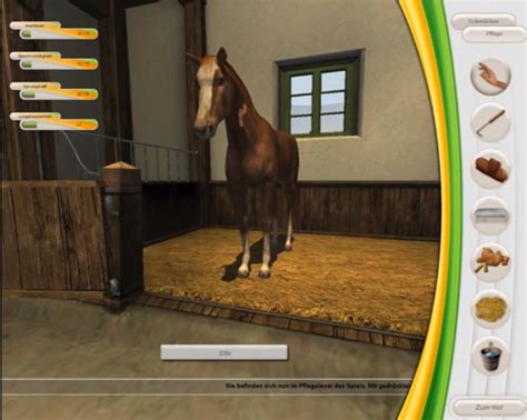 “Working on a horse game nobody cared about was soul .